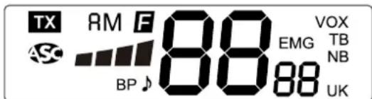 TX RM F 88 VOX EMG TB BP 88 UK