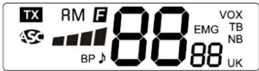 TX RM F 88 VOX BM EMG TB BP 88 UK