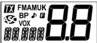 PRESIDENT Taylor IV - 5)PANTALLA LCD - 1