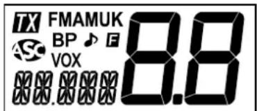 PRESIDENT Taylor IV - 5) Afficheur LCD - 1
