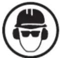 Sun Joe SWJ806E - Safety Symbols - 6