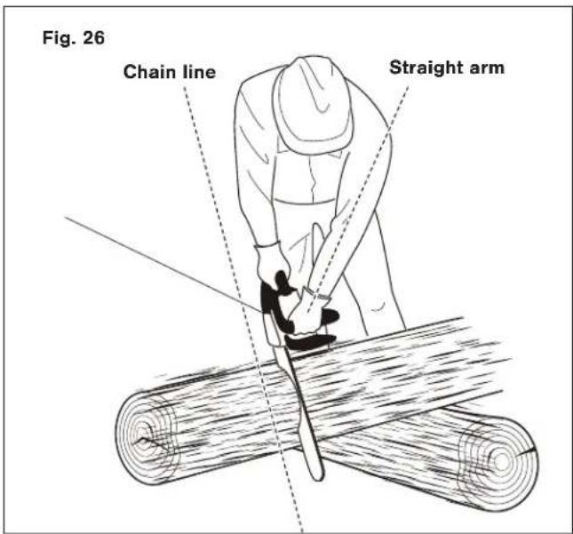 Sun Joe SWJ806E - Proper Cutting Stance - 1