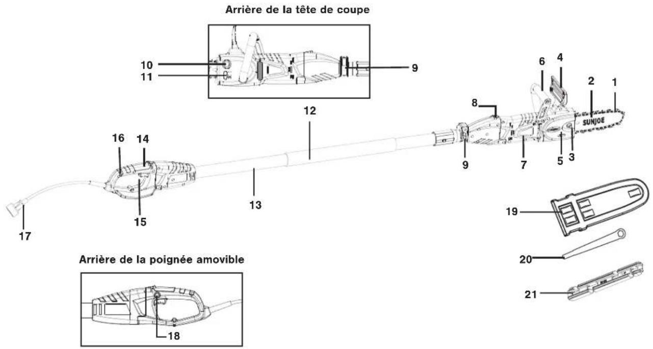 Sun Joe SWJ806E - Apprenez à mieux connaître votre scie à chaîne électrique et manche télescopique - 1