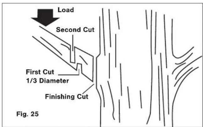 Sun Joe SWJ806E - Pruning - 1