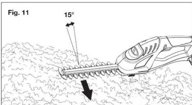 Sun Joe 24VSSEGCT - Conseils pour la taille - 1