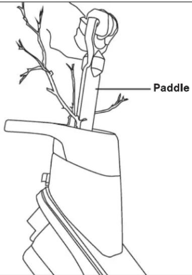 Paddle