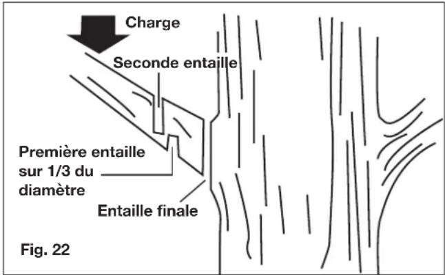 Sun Joe 24VPS10LTE - Élagage - 1