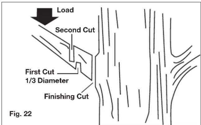 Sun Joe 24VPS10LTE - Pruning - 1