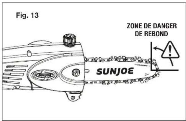 Sun Joe ION8PS2LT - MISE EN GARDE! - 2