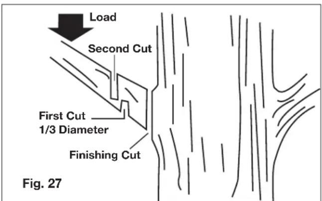 Sun Joe ION8PS2LT - Pruning - 1