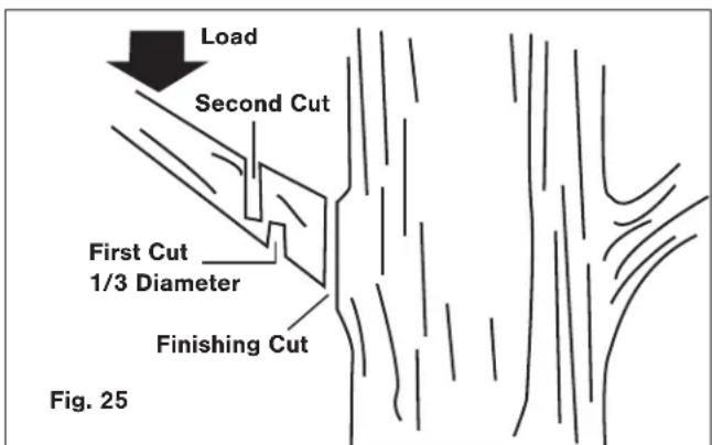 Sun Joe SWJ803E - Pruning - 1