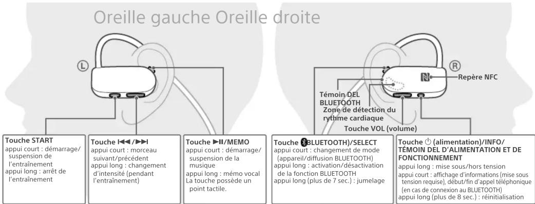 Oreille gauche Oreille droite Touche START appui court : démarrage/ suspension de l'entraînement appui long : arrêt de l'entraînement Touche I◄◄/►►I appui court : morceau suivant/précédent appui long : changement d'intensité (pendant l'entraînement) Touche ►II/MEMO appui court : démarrage/ suspension de la musique appui long : mémo vocal La touche possède un point tactile. Touche ⚫ BLUETOOTH)/SELECT appui court : changement de mode (appareil/diffusion BLUETOOTH) appui long : activation/désactivation de la fonction BLUETOOTH appui long (plus de 7 sec.) : jumelage Touche ⏻ (alimentation)/INFO/ TÉMOIN DEL D'ALIMENTATION ET DE FONCTIONNEMENT appui long : mise sous/hors tension appui court : affichage d'informations (mise sous tension requise), début/fin d'appel téléphonique (en cas de connexion au BLUETOOTH) appui long (plus de 8 sec.) : réinitialisation