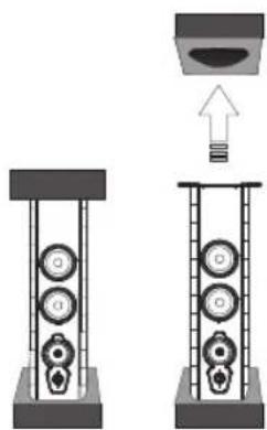 Sonus Faber Guarnieri Tradition - H28 XTR-04 - 5