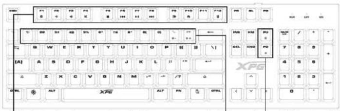 XPG Infarex K10 - XPG INFAREX K10 Clavier de jeu Guide de mise en route rapide - 1