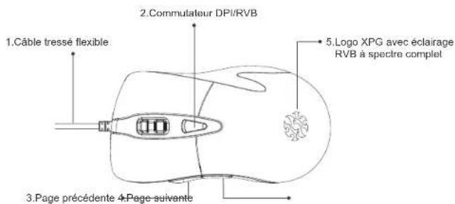 XPG Infarex M20 - Guide de démarrage rapide Souris de jeu XPG INFAREX M20 - 1