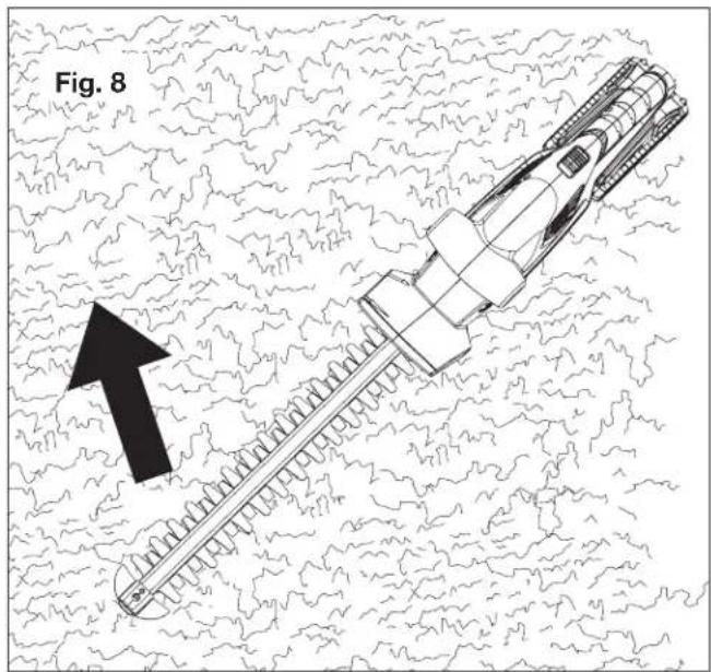 Fig. 8
