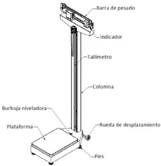 ADE M318800 - Montaje - 1