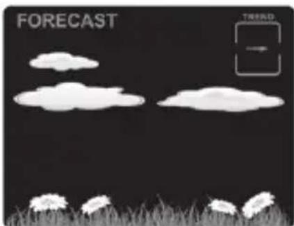 ADE WS 1917 - Predicción meteorológica y tendencia - 3