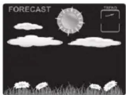 ADE WS 1917 - Weather forecast and weather trend - 2