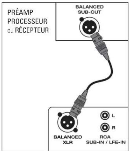 PRÉAMP PROCESSEUR ou RÉCEPTEUR BALANCED SUB-OUT BALANCED XLR L R RCA SUB-IN / LFE-IN