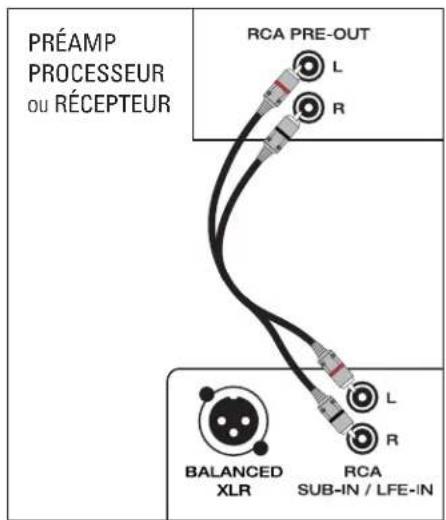 PRÉAMP PROCESSEUR OU RÉCEPTEUR RCA PRE-OUT L R BALANCED XLR RCA SUB-IN / LFE-IN