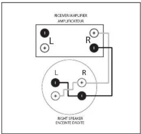 Paradigm AMS250 - Wiring for "SM" Models Câblage pourModèles « SM » - 2