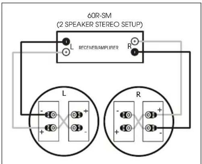 Paradigm CS50R v3 - SPEAKER CONNECTION - 2