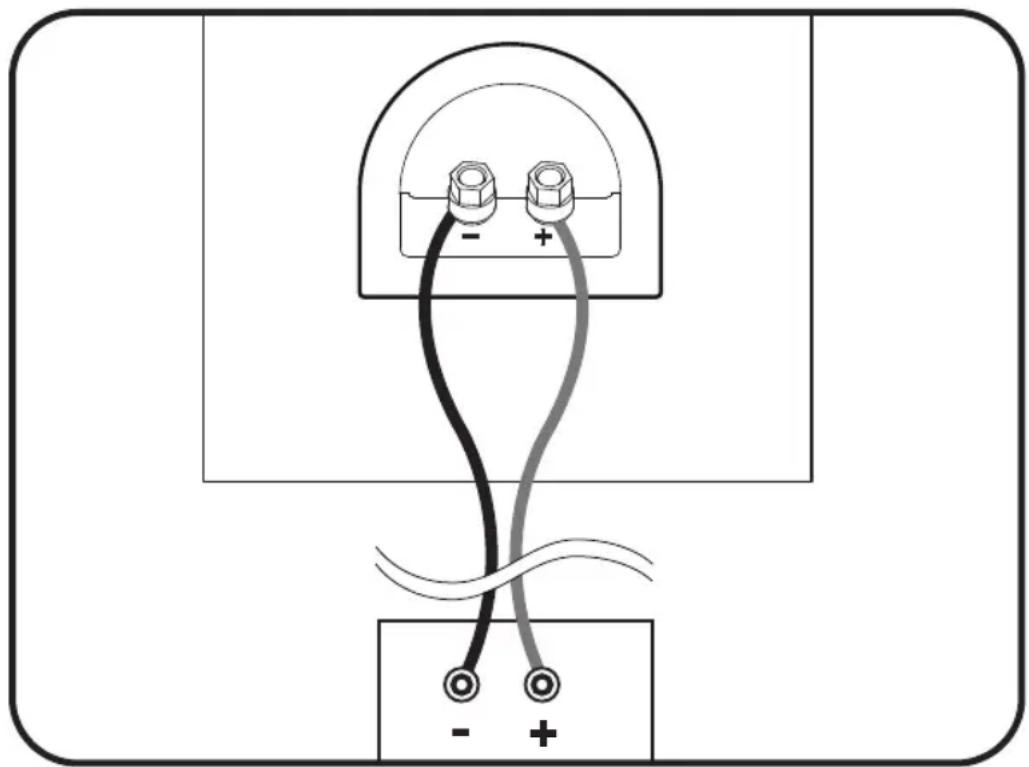Paradigm Mini Monitor v7 - SPEAKER CONNECTION - 2