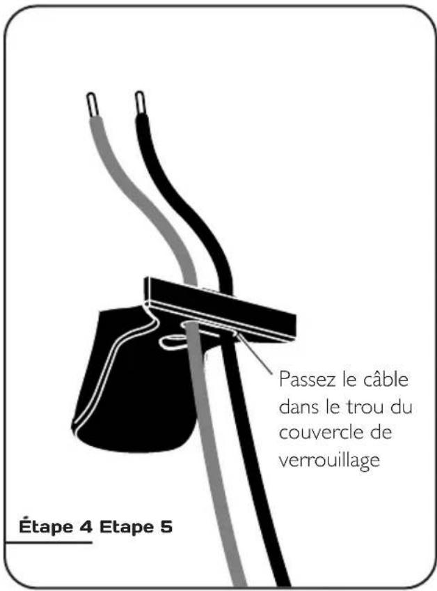 Paradigm Cinema 100 3.0 System - CÂBLAGE LE LONG DU MUR - 1
