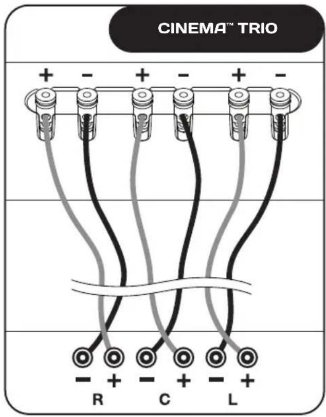 Paradigm Cinema 100 3.0 System - SPEAKER CONNECTION - 3