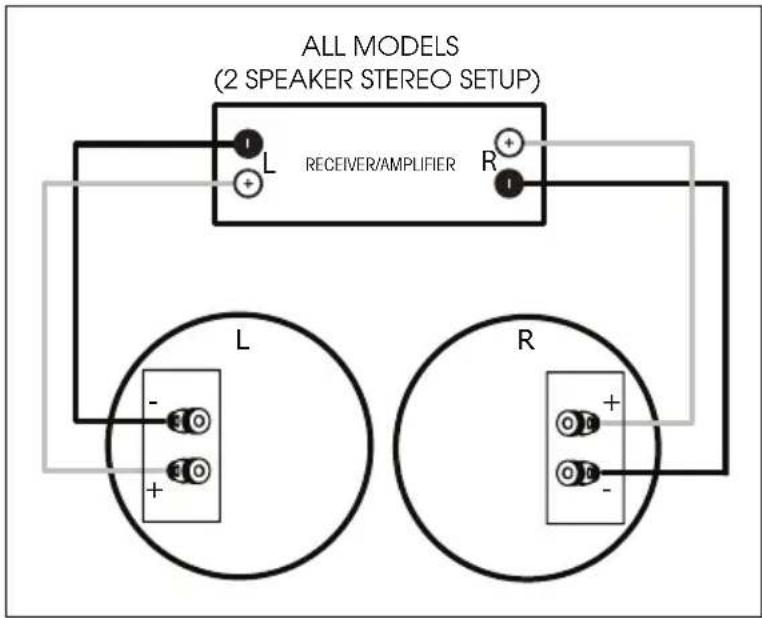 Paradigm CS60RSM v3 - SPEAKER CONNECTION - 1