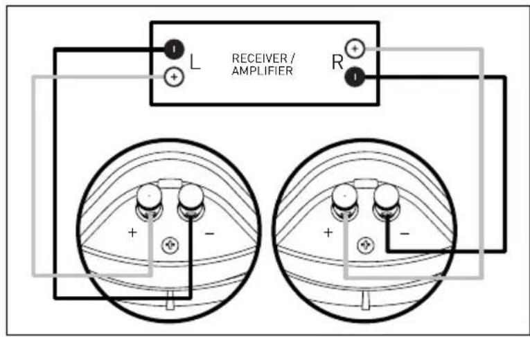 Paradigm CI Pro P65R - SPEAKER CONNECTION - 1