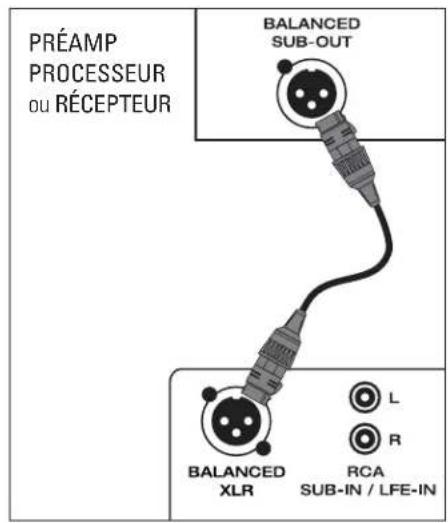 Paradigm X850 - Entrées/inputS - 1