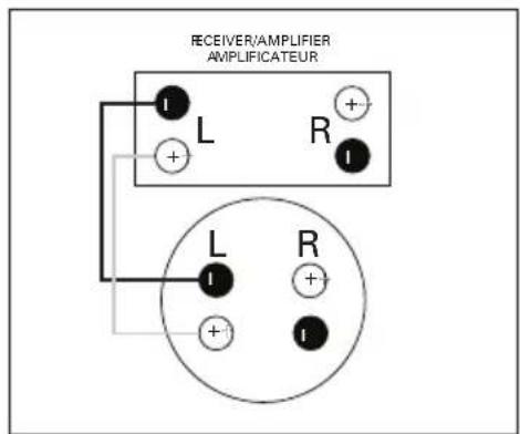 Paradigm AMS150R30 - Wiring for "SM" Models   Câblage pour Modèles « SM » - 1