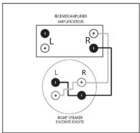 Paradigm AMS150R30 - Wiring for "SM" Models   Câblage pour Modèles « SM » - 2