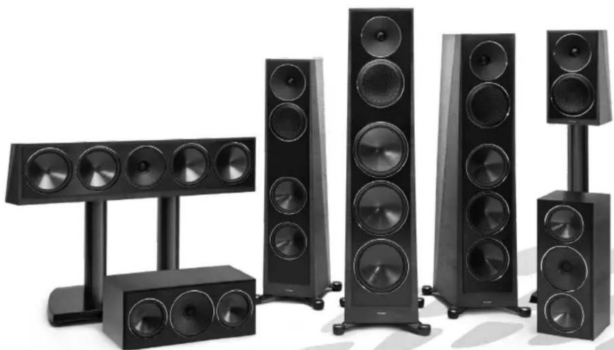 Paradigm Founder 120H - 1