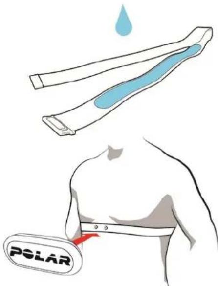 POLAR Pacer Pro - Associer un capteur de fréquence cardiaque à votre montre - 3