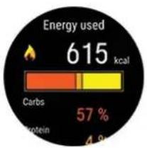 POLAR Pacer Pro - Résumé des sources d'énergie - 1