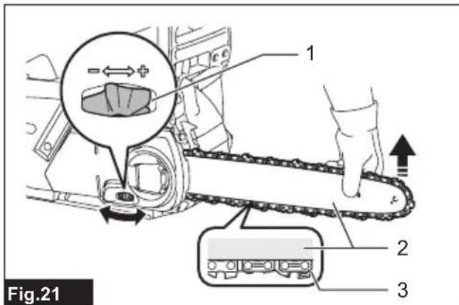 Fig.21