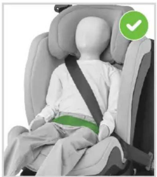 MAXI-COSI Titan iSize - - 150 cm - 2