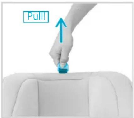 Pull!