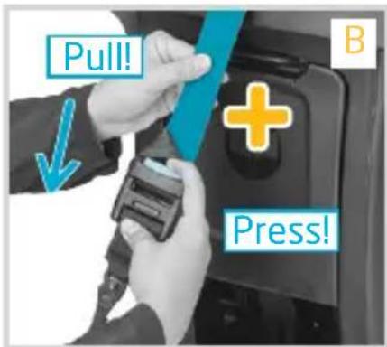 Pull! + Press!