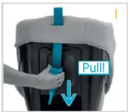 Pull!