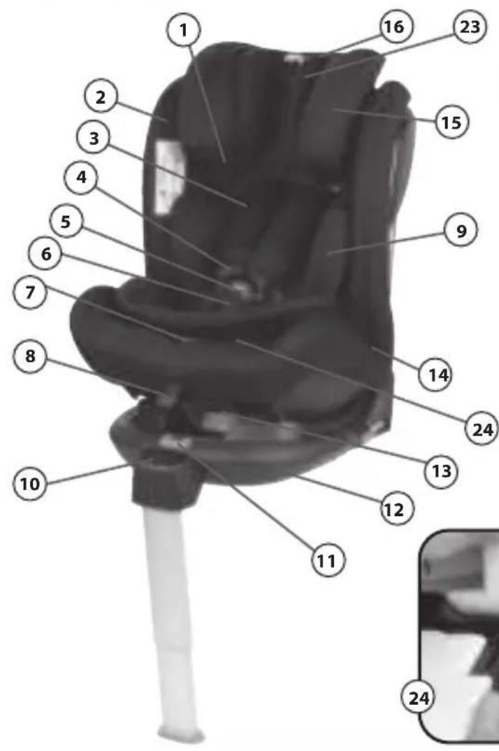 BEBE CONFORT EvolveFix - 3
