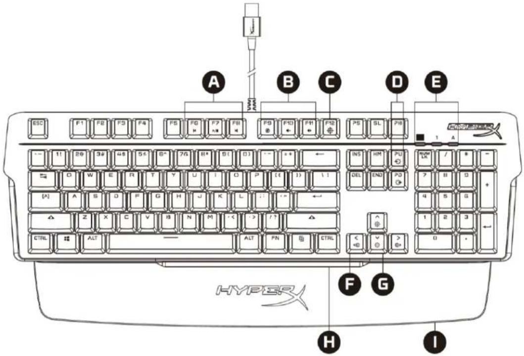 HYPERX Alloy MKW100 - Bộ sản phẩm gồm có - 1