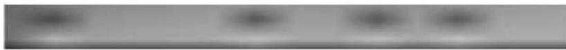 LG CRD8160B - Conector de alimentacion - 2
