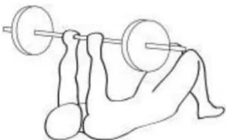 CRIVIT IAN 75119 - Triceps - 1