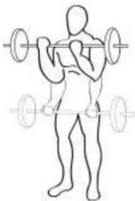 CRIVIT IAN 75119 - Biceps - 1