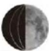 TECHNOLINE WS 6462 - Lunar phases and tide indicator: - 4