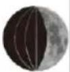 TECHNOLINE WS 6462 - Lunar phases and tide indicator: - 3